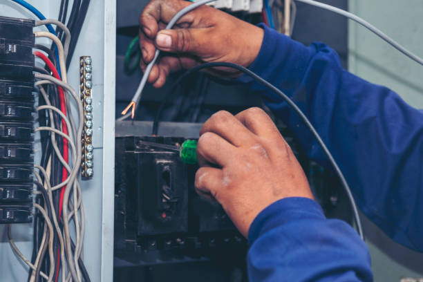Best Ceiling Fan Installation Electrician  in Edwards Af, CA